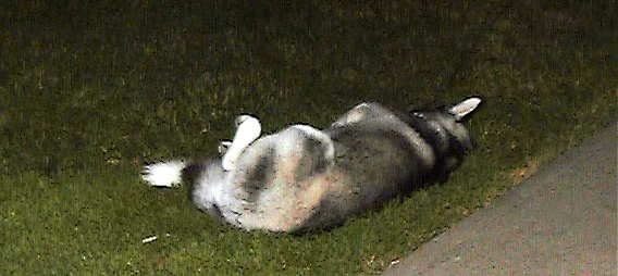 scratch